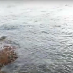 釣り自粛解禁1発目！！青物釣行ｗ